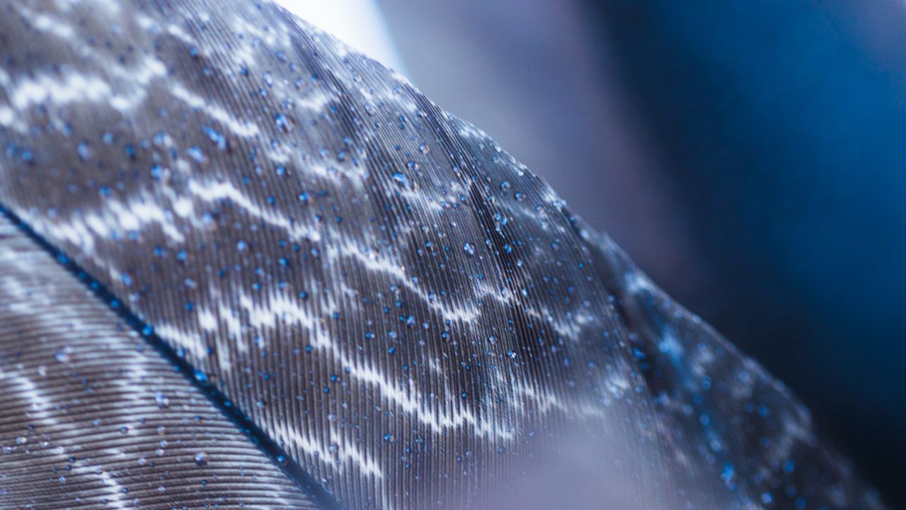 Advanced Composites in Modern Vessel Construction